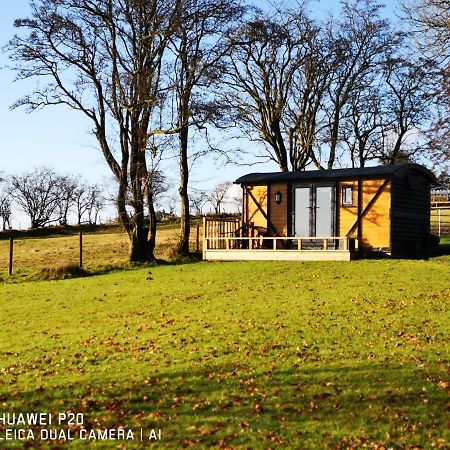 Villa Pen-Rhos Luxury Glamping "Cuckoo'S Nest" à Llandrindod Wells Extérieur photo