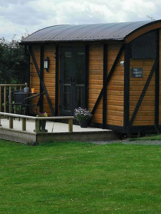 Villa Pen-Rhos Luxury Glamping "Cuckoo'S Nest" à Llandrindod Wells Extérieur photo