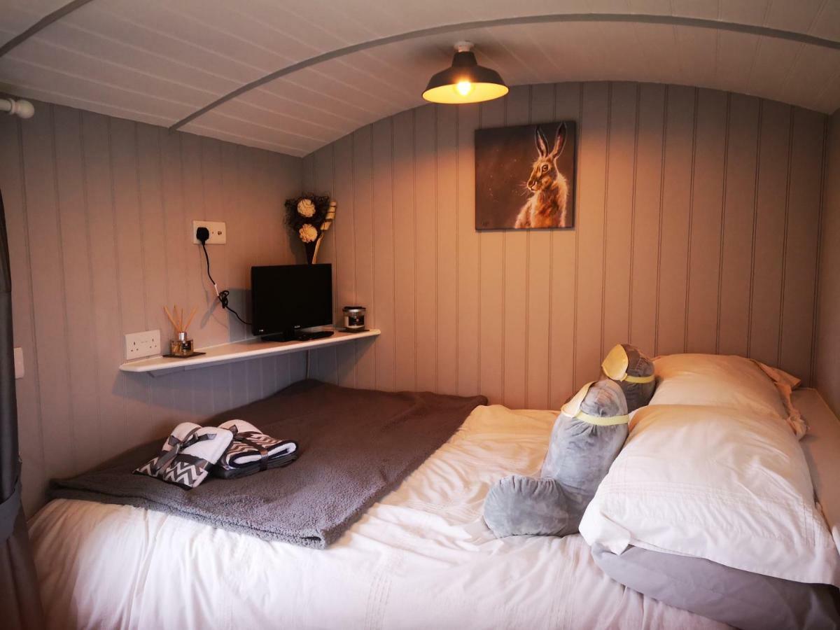 Villa Pen-Rhos Luxury Glamping "Cuckoo'S Nest" à Llandrindod Wells Extérieur photo