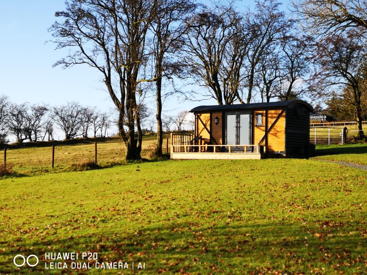 Villa Pen-Rhos Luxury Glamping "Cuckoo'S Nest" à Llandrindod Wells Extérieur photo